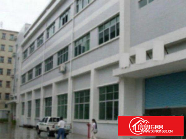 万江标准独院三层厂房4000平方米出租