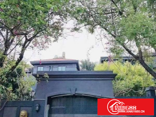 龙华中心区超大独栋别墅带精装修名贵红木家私出租