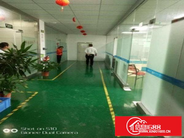 龙岗红本厂房1200平18元出租！送精装修办公室