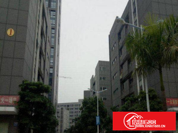 龙岗区平湖标准厂房楼上500平新出厂房出租