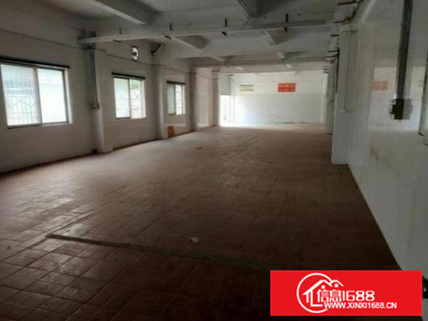 树田原房东一楼430平方，实际面积