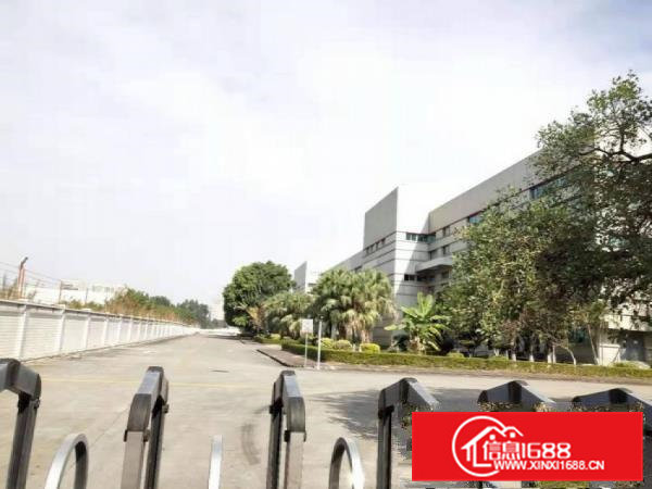 南栅楼上800平方精装修厂房水电齐全交通便利原房东