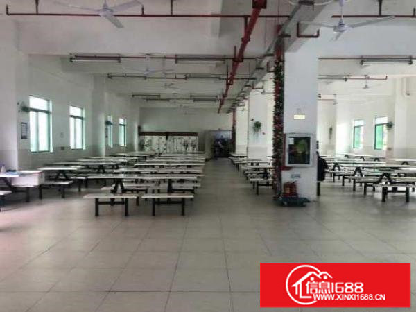 华丰坪山红本场地，可做国际保税返修，可做保税深加工，可开票