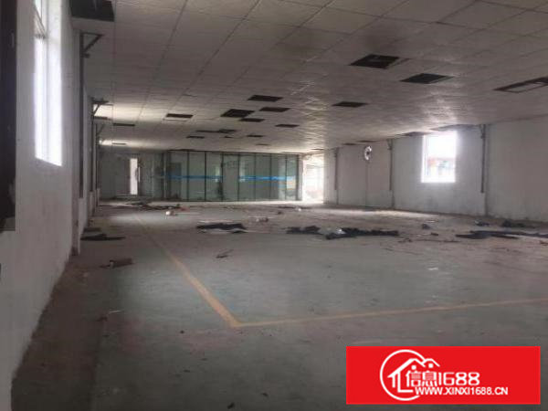 出租桥头桥头城区260平厂房，价格实惠，交通便利