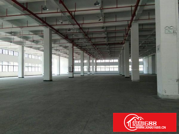 镇隆万里工业区一楼带装修标准厂房2500平招租