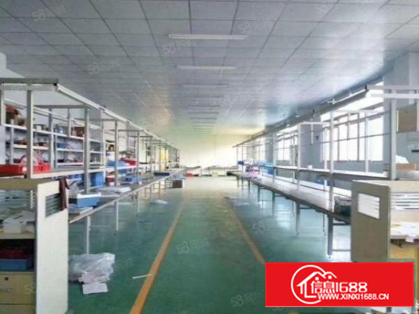 石碣单钢结构单一层小厂房1200方，价格美丽，交通方便!