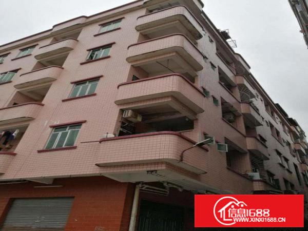 出租横沥独栋水电齐全适合小企业