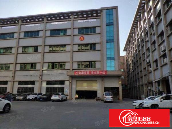 大朗佛子凹工业园区新出一楼650方带航车二楼650方带装修