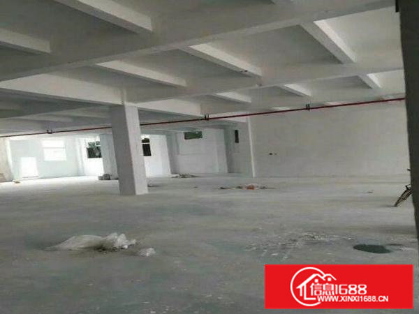 常平天鹅湖1500平方一楼出租