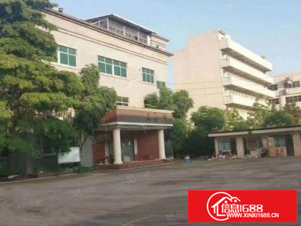 观澜桂花主干道旁新出原房东独院红本21000平厂房出租零公摊