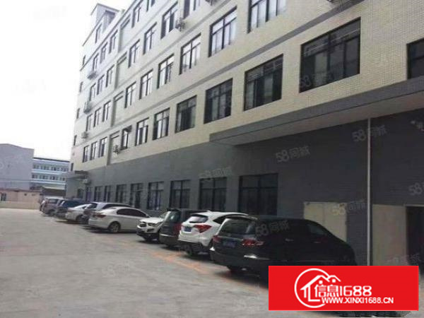 万江都会广场附近独院二三四楼厂房各1500平方可分租水电到位