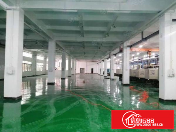 石排镇国有双证花园式独门独院厂房出租总面积12580平方