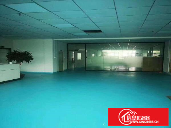 楼上新出1180平方，带现成装修，办公室，消防喷淋