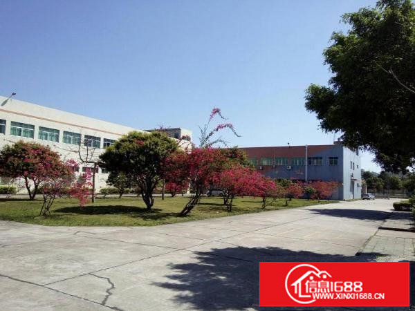 观澜新空出3800平米独栋厂房出租