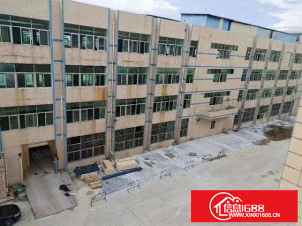 凤岗五联新出楼上2500平出租可分租水电齐全