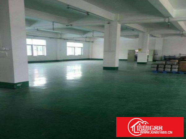 楼上带精装修现成水电9元！9元！有电梯坪山石井