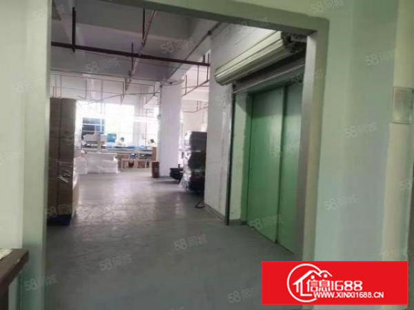毗邻松山湖高端产业园空出1644方标准厂房出租，红本厂房