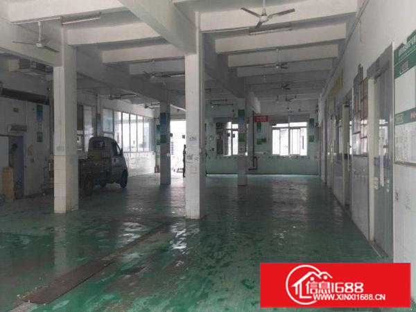 平湖白泥坑海吉星一楼1000平方带现成冻库