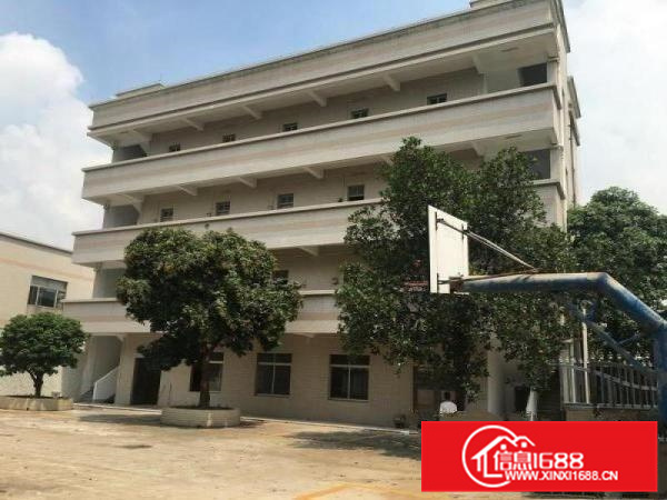 大路边、形象好，顺德大良独院5000方厂房出租