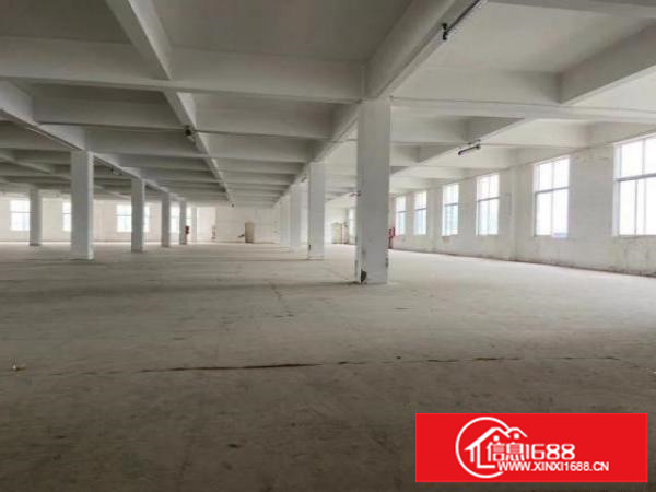 横岗原物业19元厂房出租层高6米配宿舍