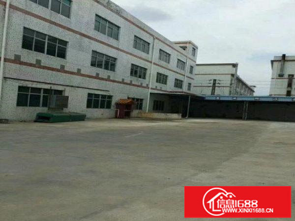 房东直租！龙岗爱联嶂背一楼厂房600平底价出租