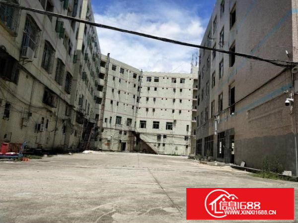 福永原房东全新改造标准厂房商铺实际面积出租大小可分