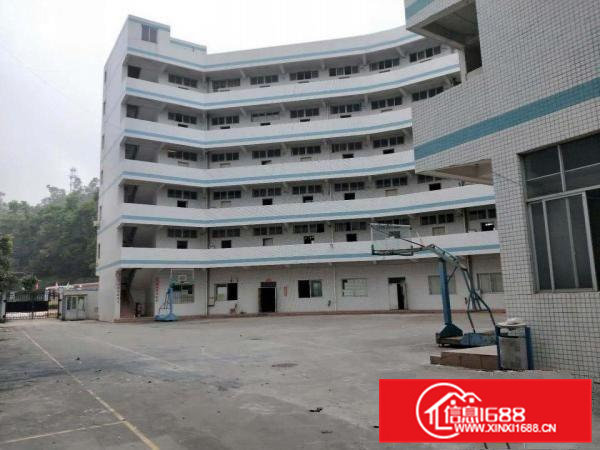 凤岗雁田塑胶模具独院厂房出租三栋3万平方，可分租，近深圳