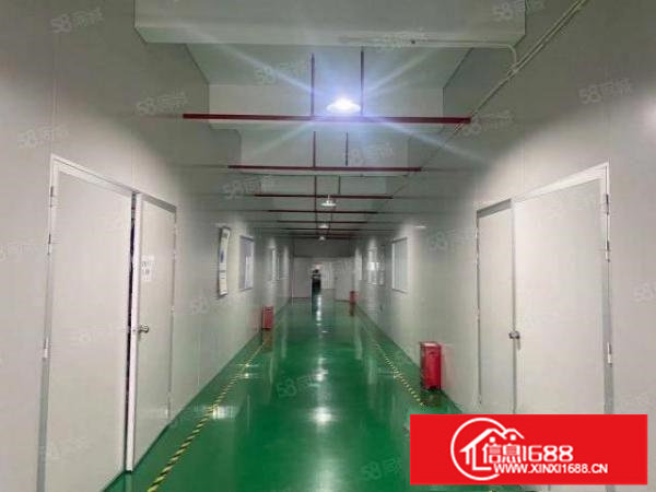 龙岗中心城独门独院厂房5000平米，可分租现成装修带红本