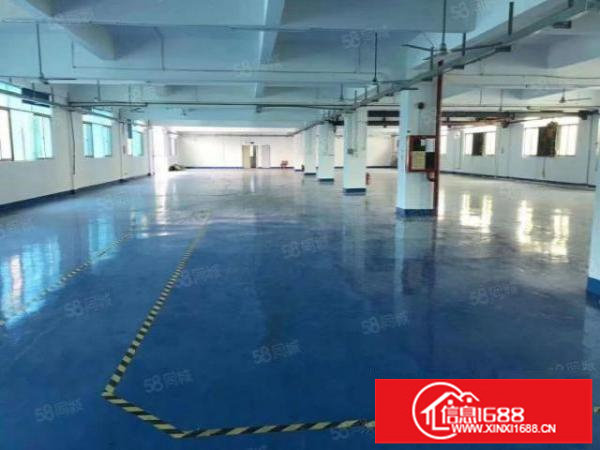 大工业区红本精装厂房1550平方出租现成装修水电可分租二楼