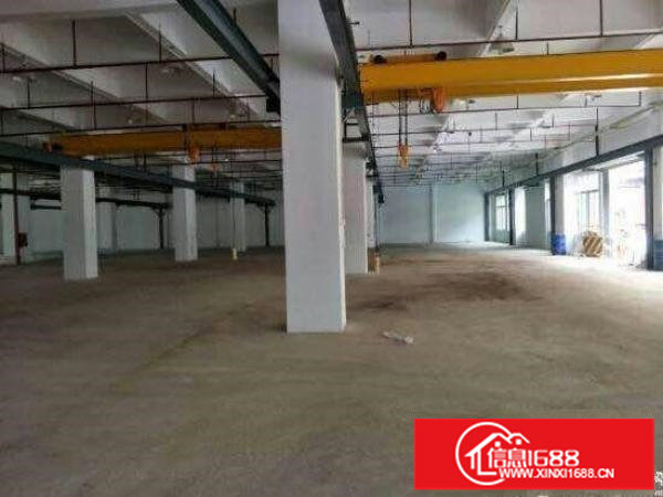 平湖原房东红本标准5.5米高一楼3500平方招租