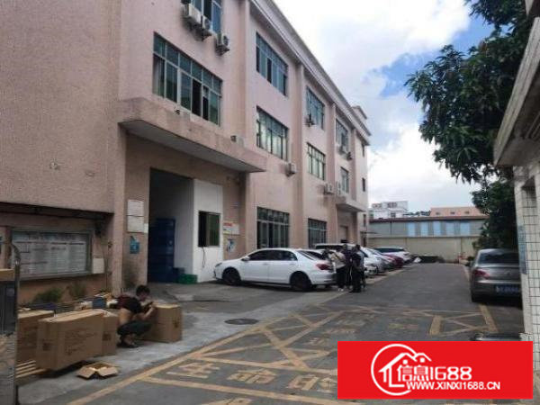 松岗独院厂房1-2楼1000平米租金23元