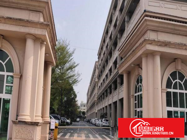 大岭山唯一一个欧式厂房出租，带环评带装修可分租