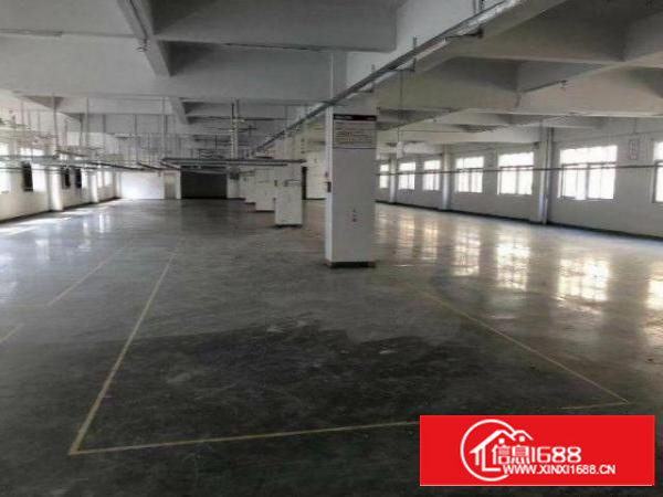 石排田寮原房东独院厂房，一栋两层3600平方米出租