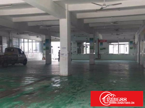 平湖白泥坑附近良安田带定做冷库配送厂房出租，200平方起租