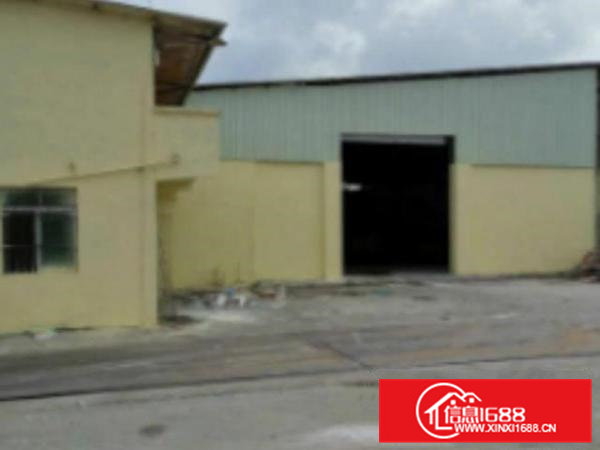 高埗新出独门独院单一层厂房1300平方出租