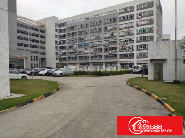 真实:观澜高新园区一楼厂房3000平方