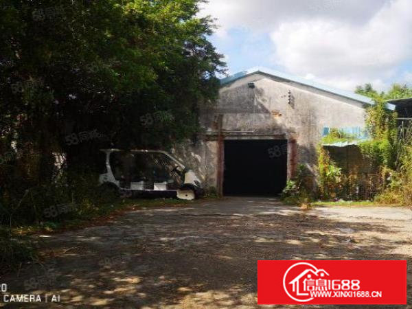 农家乐，农庄，仓储物流，观澜橘岭新村2000平建筑1200平