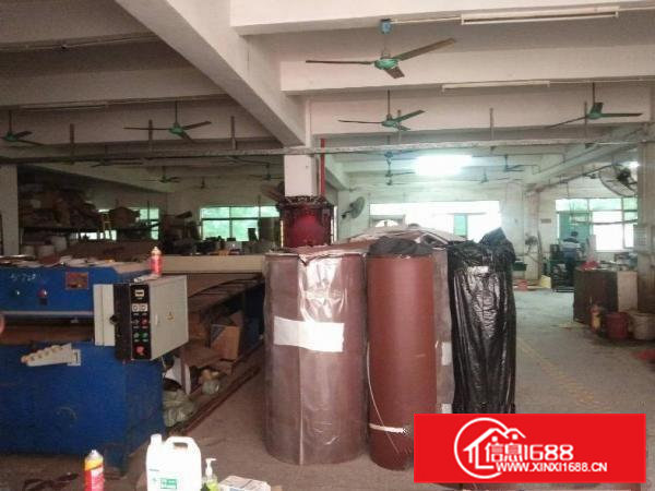 大岭山马蹄岗独院楼上900平厂房出租