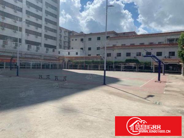 龙华大浪红本高新园区3万平厂房出租使用率高园区形象好可分租