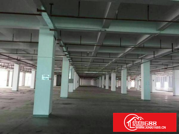 惠阳镇隆新出一二楼4000平米全新厂房形象好空地大