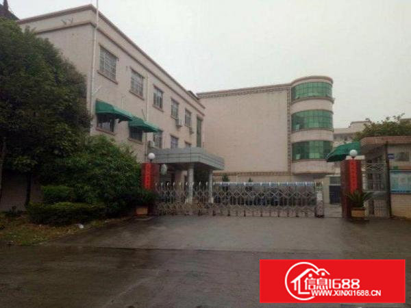 出租常平标准一楼800平方厂房出租带绿化交通便利