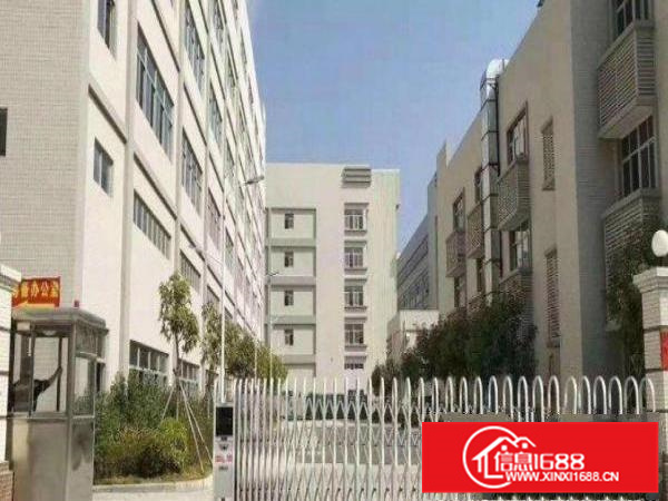 新墟进场可生产！现成装修厂房1600平米出租