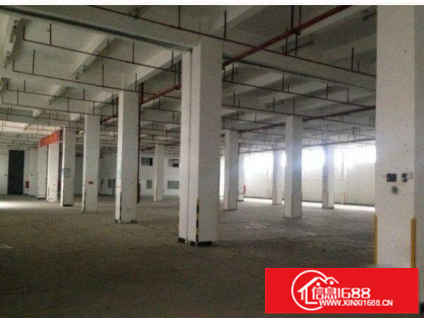坪山大道一楼标准厂房面积900平米业主急租