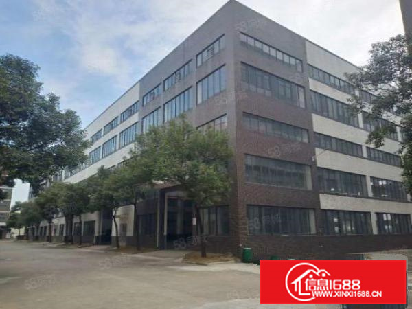 不拆迁，杏坛工业区单一层中高12米出租，可分租，可办环评