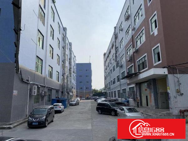 228工业区独院6000平方，大小分租，包隔墙带装修