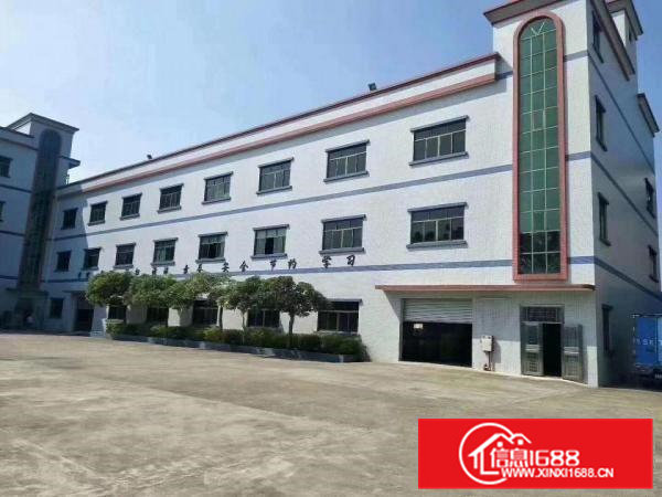 清溪三中村原房东新出2楼550平带装修厂房急租