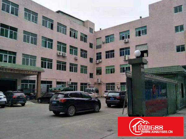 新出楼上带装修1100平米