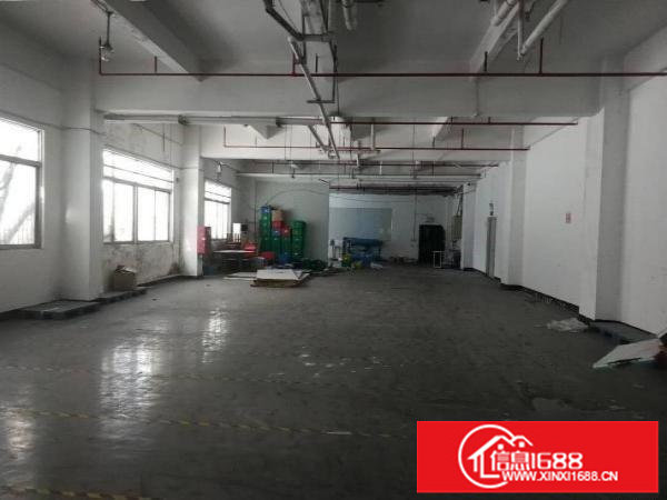 坂田上雪科技园5401480平米厂房仓库精装修