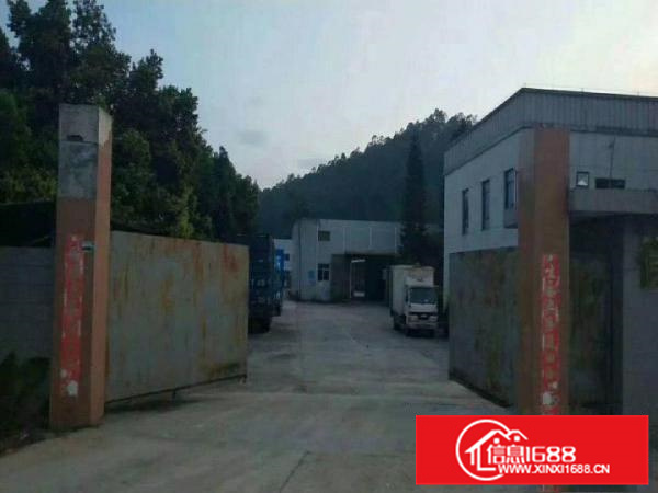 新圩独院钢构厂房1800平米，行业不限