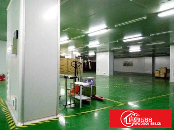 佛山顺德勒流新出工业区独栋标准厂房，带地坪漆装修，可办环评